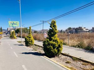 Terreno en Renta en Piracantos Pachuca de Soto