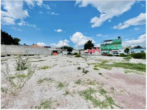 Terreno en Venta en Centro Actopan