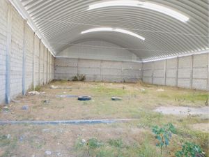 Bodega en Renta en El Tezontle Pachuca de Soto