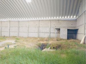 Bodega en Renta en El Tezontle Pachuca de Soto