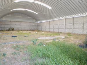 Bodega en Renta en El Tezontle Pachuca de Soto