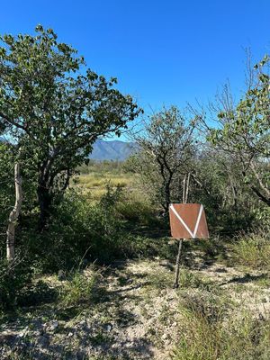 TERRENO EN VENTA EN BUSTAMANTE, NL