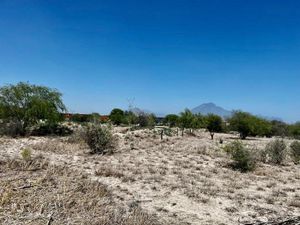 TERRENO COMERCIAL EN RENTA EN SALINAS VICTORIA