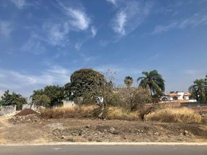 Venta de terreno lomas de COCOYOC