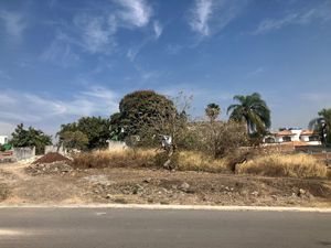 Venta de terreno lomas de COCOYOC