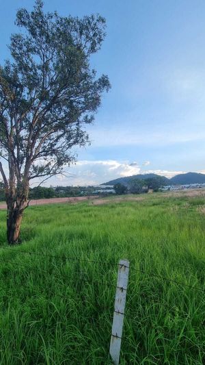 TERRENO CARRETERA COLOTLAN IDEAL DESARROLLADORES