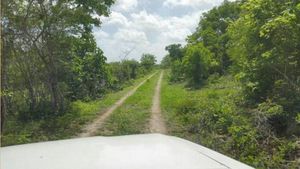 VENTA DE RANCHO CHINACALCO  EN SAN FELIPE, YUCATAN