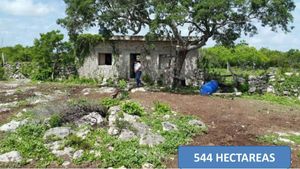 VENTA DE RANCHO CHINACALCO  EN SAN FELIPE, YUCATAN