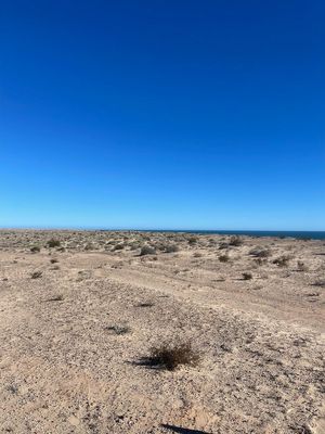 VENTA 59.39  HECTÁREAS EN EL TORNILLAL, SONORA A 1 HR DE PUERTO PEÑASCO