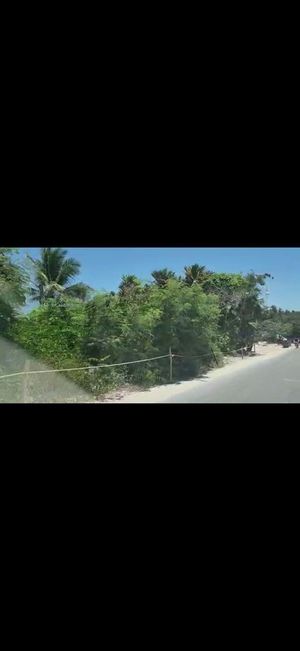 Hermoso terreno a pie de playa en Tulum Quintana Roo