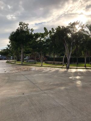 TERRENO en venta Esquina frente al parque en Residencial Arbórea