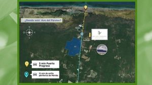 LOTE DE INVERSIÓN EN AVE DEL PARAISO