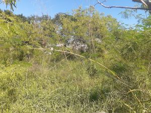 Terreno en Progreso Yucatán Barda de piedra. 