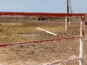 Terreno en Progreso Yucatán compactado 1