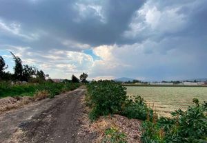 TERRENO EN VENTA EN SAN PEDRO DE LOS SAUCES, MORELIA