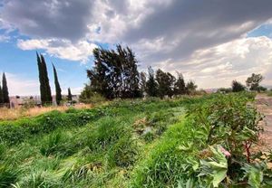 TERRENO EN VENTA EN SAN PEDRO DE LOS SAUCES, MORELIA