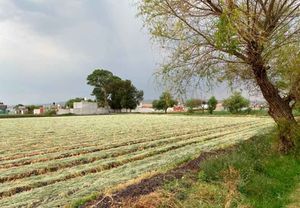 TERRENO EN VENTA EN SAN PEDRO DE LOS SAUCES, MORELIA