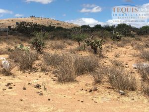 Terreno en venta en la entrada de Tequisquiapan Querétaro.