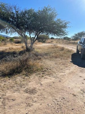 Terreno en venta en el Sauz Tequisquiapan Querétaro.