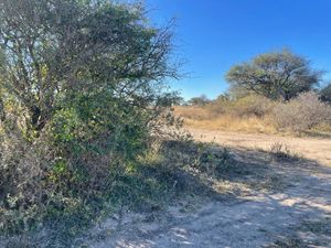 Terreno en venta en el Sauz Tequisquiapan Querétaro.