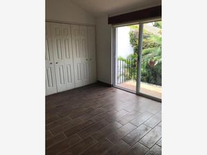 Casa en Renta en Cuernavaca Centro Cuernavaca