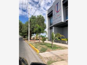 Terreno en Venta en El Copalillo Irapuato