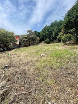 Terreno en venta en lomas de atzingo Cuernavaca Morelos