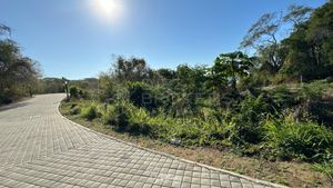 Terreno en Venta en Bolongo en Punta Mita