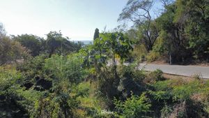 Terreno en Venta en Bolongo en Punta Mita