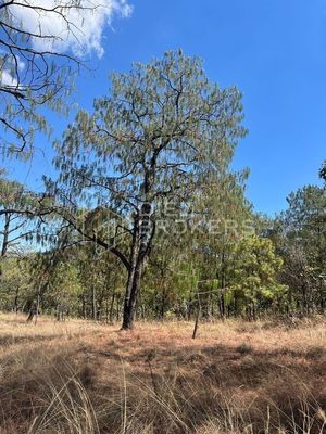 Terreno en Venta en Mazati  Tapalpa