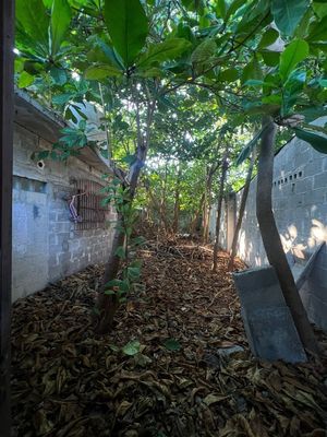 Terreno en venta en la Col  Guanal.