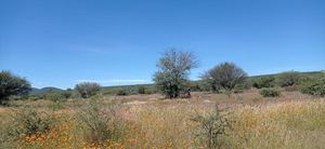 TERRENO INDUSTRIAL EN VENTA EN ZONA BUENAVISTA, QUERÉTARO.