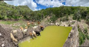 RANCHO EN VENTA CERCA DE ZIRANDARO, SAN MIGUEL DE ALLENDE