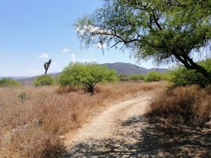 RANCHO  APTO PARA SIEMBRA Y DESARROLLO DE CASAS CAMPESTRE EN EZEQUIEL MONTES