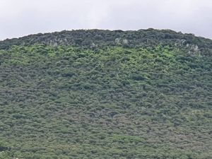 RANCHO EN VENTA CERCA DE ZIRANDARO, SAN MIGUEL DE ALLENDE