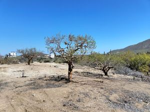 TERRENO EN CERRITOS