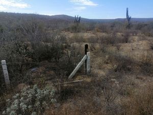 A ORILLA DE CARRETERA TODOS SANTOS