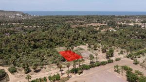 Terreno Los Palmares Todos Santos