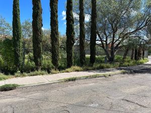 Terreno Comercial en Renta en Barrio de la Salud, Ags.