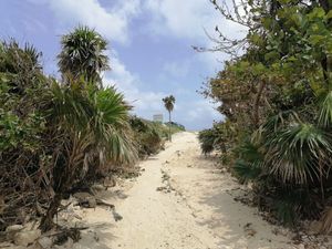 Terreno en Venta en Cozumel