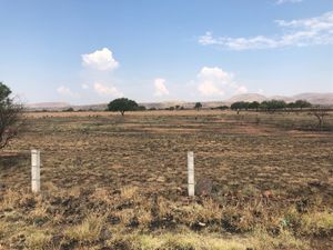 Terreno en Venta frente a Agrósfera Carr. 45 Nte.