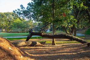 TERRENO DE LUJO EN EL CIELO COUNTRY CLUB