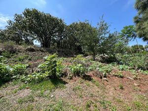 Terreno Venta El Palomar Tlajomulco de Zúñiga Zona Sur