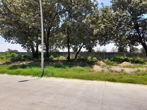 Terreno en Venta, Macrolote en coto, Capital Norte