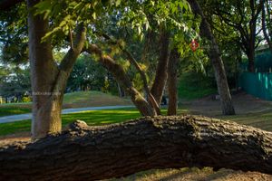 TERRENO DE LUJO EN EL CIELO COUNTRY CLUB