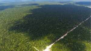 Terreno en Venta, Tulum