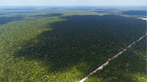 Terreno en Venta, Tulum