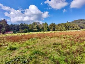 TERRENO EN VENTA, SANTO TOMÁS EL PEDREGAL..