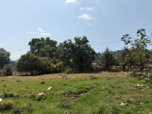 TERRENO EN VENTA, CERRO GORDO.