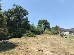 TERRENO EN VENTA, CERRO GORDO.